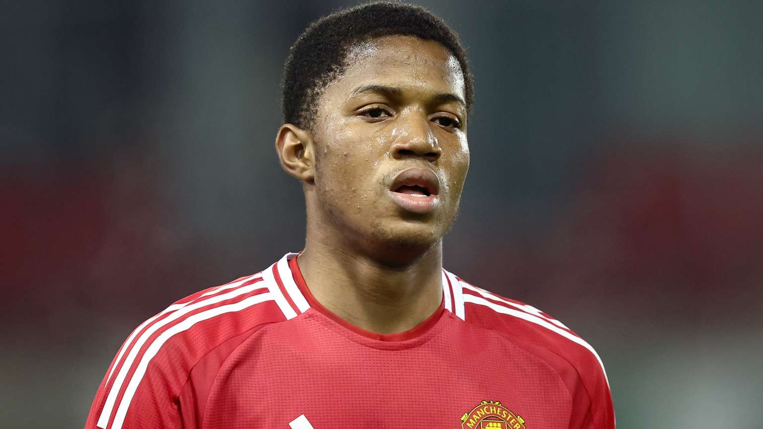 些身价不菲 些身价不菲